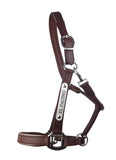 New! Leather Halter - Silver Fittings with Engraved Horse Nameplate - Country Scene Saddlery and Pet Supplies