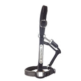 New! Leather Halter - Silver Fittings with Engraved Horse Nameplate - Country Scene Saddlery and Pet Supplies