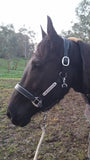 New! Leather Halter - Silver Fittings with Engraved Horse Nameplate - Country Scene Saddlery and Pet Supplies