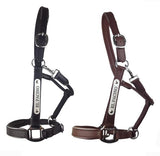 New! Leather Halter - Silver Fittings with Engraved Horse Nameplate - Country Scene Saddlery and Pet Supplies
