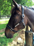 New! Leather Halter - Silver Fittings with Engraved Horse Nameplate - Country Scene Saddlery and Pet Supplies