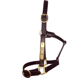 Leather Halter Thoroughbred - Brass Fittings with Engraved Horse Nameplate - Country Scene Saddlery and Pet Supplies