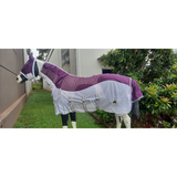 Lecanto Fly Mesh Combo