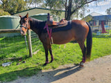 CSS Maroon Cheetah Latigo Set. - Country Scene Saddlery and Pet Supplies