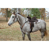 New! MJ48 JOSEY CASH GO ROUND - Country Scene Saddlery and Pet Supplies