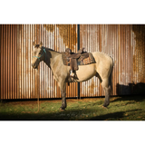 New! MJ79 Josey Ultimate Cash