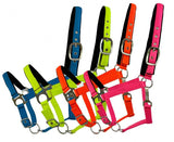 Nylon adjustable nose halter - Country Scene Saddlery and Pet Supplies