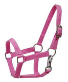Nylon halter- mini size. - Country Scene Saddlery and Pet Supplies