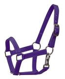 Nylon halter- mini size. - Country Scene Saddlery and Pet Supplies