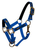 Nylon halter- pony size. - Country Scene Saddlery and Pet Supplies