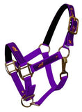 Nylon halter- pony size. - Country Scene Saddlery and Pet Supplies