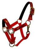 Nylon halter- pony size. - Country Scene Saddlery and Pet Supplies