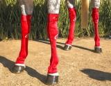 ORIGINAL EQUINE COMPRESSION SOCK . - Country Scene Saddlery and Pet Supplies