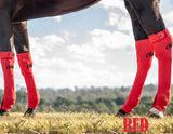ORIGINAL EQUINE SEAMLESS COMPRESSION SOCK. - Country Scene Saddlery and Pet Supplies