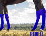 ORIGINAL EQUINE SEAMLESS COMPRESSION SOCK. - Country Scene Saddlery and Pet Supplies