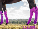 ORIGINAL EQUINE SEAMLESS COMPRESSION SOCK. - Country Scene Saddlery and Pet Supplies