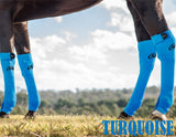 ORIGINAL EQUINE SEAMLESS COMPRESSION SOCK. - Country Scene Saddlery and Pet Supplies