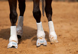 New! Support Boots Front (Black) - Country Scene Saddlery and Pet Supplies