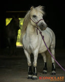 New! Support Boots Front (Black) - Country Scene Saddlery and Pet Supplies