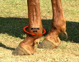 New! Support Boots Front (Black) - Country Scene Saddlery and Pet Supplies