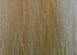 Palomino False Tails - Country Scene Saddlery and Pet Supplies