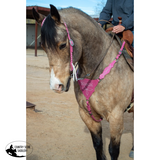 New! Pink Boot Stitch Headstall and Breast Collar Set - Country Scene Saddlery and Pet Supplies