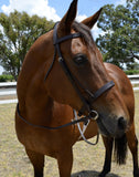 Plain Cavesson Snaffle Bridle - Country Scene Saddlery and Pet Supplies