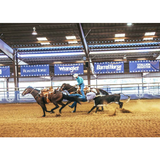 NEW! PRCA Bulldogger - Country Scene Saddlery and Pet Supplies