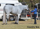 Pure White False Tail - Country Scene Saddlery and Pet Supplies