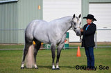 Pure White False Tail - Country Scene Saddlery and Pet Supplies