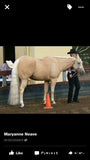 Pure White False Tail - Country Scene Saddlery and Pet Supplies