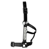 New! PVC Halter Black - Stainless Steel Fittings with Engraved Horse Nameplate - Country Scene Saddlery and Pet Supplies