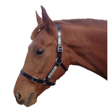 New! PVC Halter Black - Stainless Steel Fittings with Engraved Horse Nameplate - Country Scene Saddlery and Pet Supplies