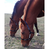 New! PVC Halter Black - Stainless Steel Fittings with Engraved Horse Nameplate