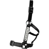 New! PVC Halter Black - Stainless Steel Fittings with Engraved Horse Nameplate - Country Scene Saddlery and Pet Supplies
