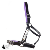 New! PVC Halter Black - Stainless Steel Fittings with Engraved Horse Nameplate - Country Scene Saddlery and Pet Supplies