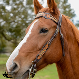 New! Python Pass Browband Headstall Wither Strap