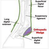 Iconoclast Rehabilitation boots