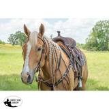 New! Remuda Browband Headstall - Country Scene Saddlery and Pet Supplies