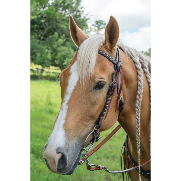 New! Remuda Browband Headstall