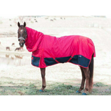 New! Ruby Rose 1200 Denier/200 gram lined Doona Combo - Country Scene Saddlery and Pet Supplies