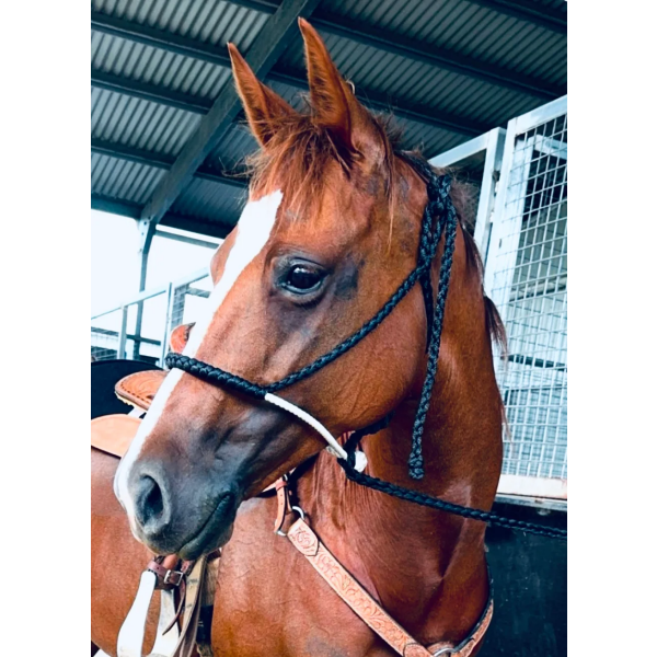 New! Ruby Rose Cowboy Halter Brown Summer Combos