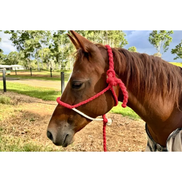 New! Ruby Rose Cowboy Halter Red Summer Combos