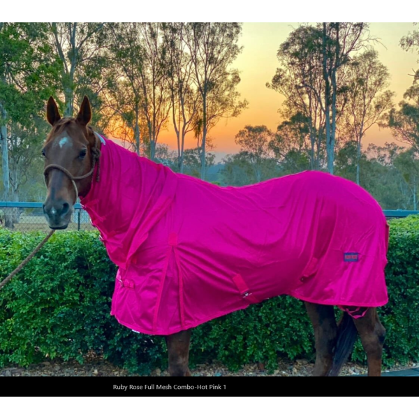 New! Ruby Rose Full Mesh Combo-Hot Pink 5’3 Summer Combos