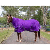 New! Ruby Rose Full Mesh Combo – Purple - Country Scene Saddlery and Pet Supplies