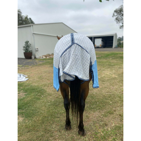 New! Ruby Rose Hybrid Combo Summer Combos