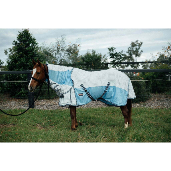 New! Ruby Rose Hybrid Combo Summer Combos