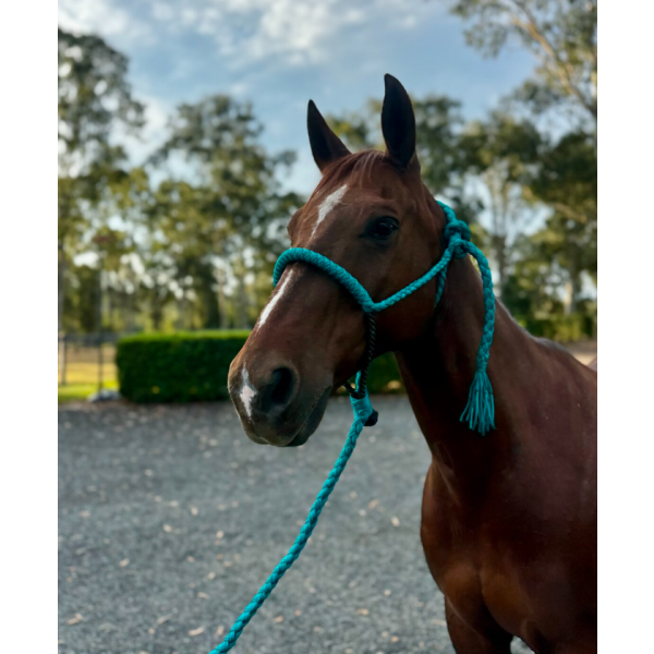 New! Ruby Rose Western Cowboy Halter Summer Combos