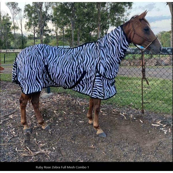 New! Ruby Rose Zebra Full Mesh Combo Summer Combos