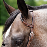 New! Schneiders® Black and Chocolate Rawhide Two-Ear Ranch Headstall - Full Size